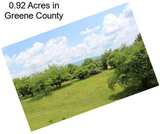 0.92 Acres in Greene County