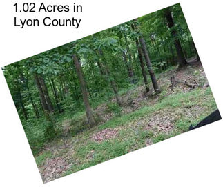 1.02 Acres in Lyon County