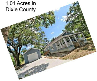 1.01 Acres in Dixie County