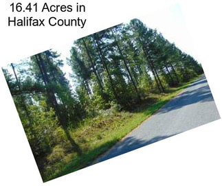 16.41 Acres in Halifax County