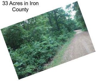 33 Acres in Iron County