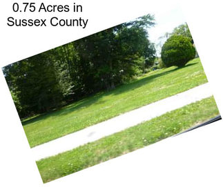 0.75 Acres in Sussex County