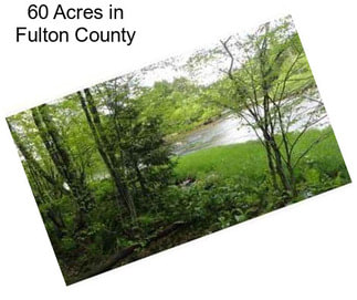 60 Acres in Fulton County