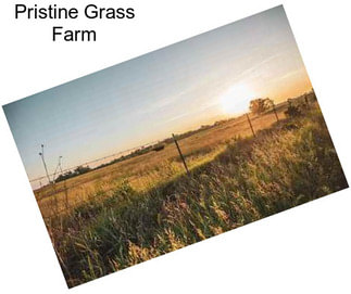 Pristine Grass Farm
