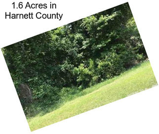 1.6 Acres in Harnett County