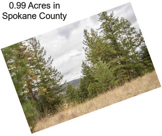 0.99 Acres in Spokane County