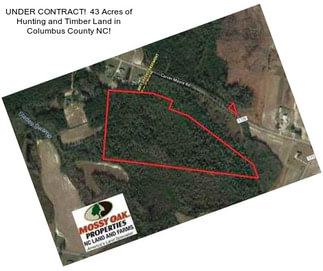UNDER CONTRACT!  43 Acres of Hunting and Timber Land in Columbus County NC!