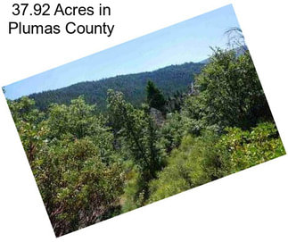 37.92 Acres in Plumas County