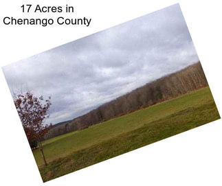 17 Acres in Chenango County