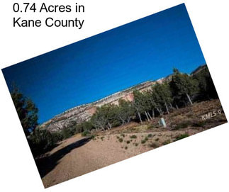 0.74 Acres in Kane County