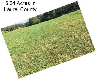 5.34 Acres in Laurel County