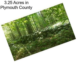 3.25 Acres in Plymouth County