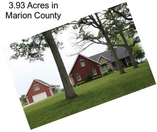 3.93 Acres in Marion County