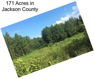 171 Acres in Jackson County