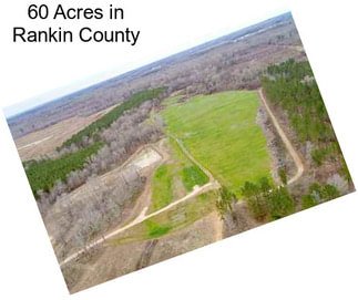 60 Acres in Rankin County