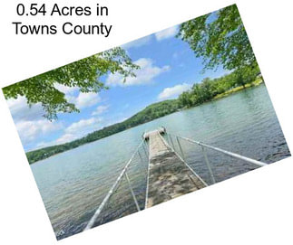 0.54 Acres in Towns County