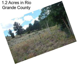 1.2 Acres in Rio Grande County