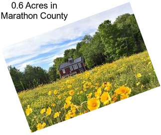 0.6 Acres in Marathon County