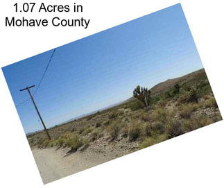 1.07 Acres in Mohave County