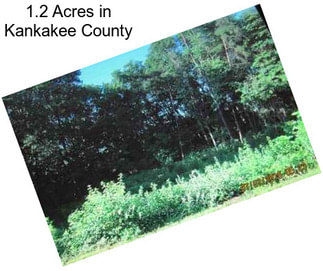 1.2 Acres in Kankakee County