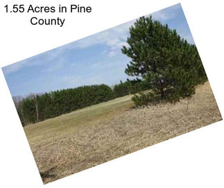 1.55 Acres in Pine County