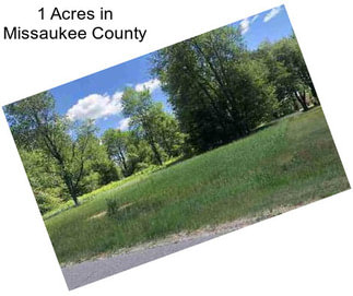 1 Acres in Missaukee County