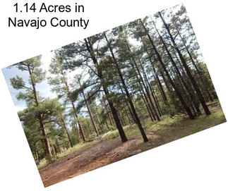 1.14 Acres in Navajo County