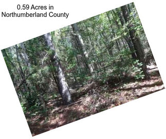 0.59 Acres in Northumberland County