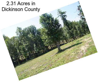 2.31 Acres in Dickinson County