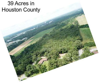 39 Acres in Houston County