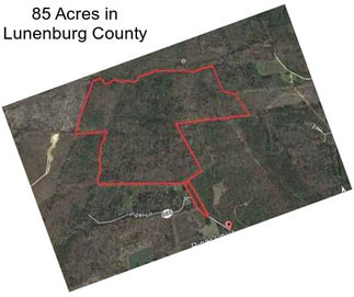 85 Acres in Lunenburg County