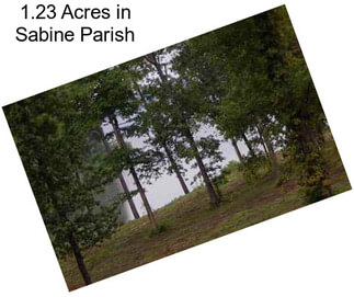 1.23 Acres in Sabine Parish
