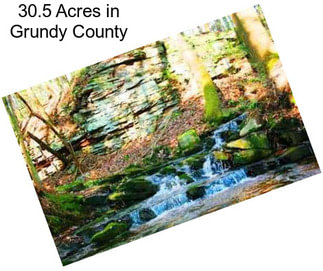 30.5 Acres in Grundy County