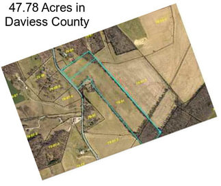 47.78 Acres in Daviess County