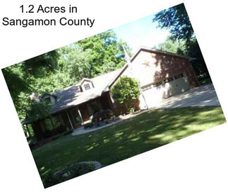 1.2 Acres in Sangamon County