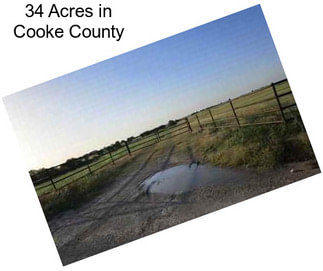 34 Acres in Cooke County