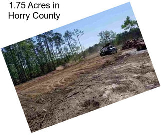 1.75 Acres in Horry County