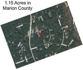 1.15 Acres in Marion County