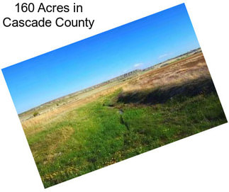 160 Acres in Cascade County