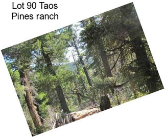 Lot 90 Taos Pines ranch