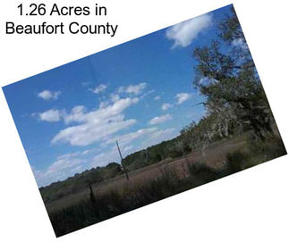 1.26 Acres in Beaufort County
