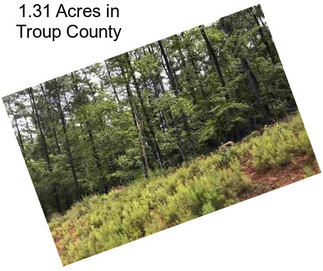 1.31 Acres in Troup County