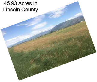 45.93 Acres in Lincoln County
