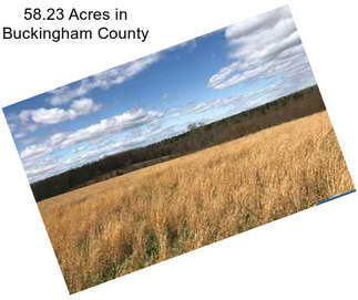 58.23 Acres in Buckingham County