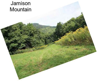 Jamison Mountain