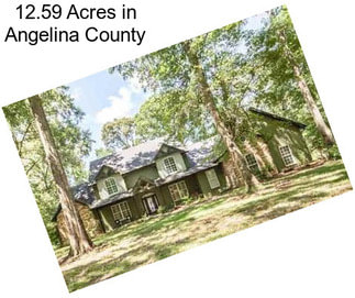 12.59 Acres in Angelina County
