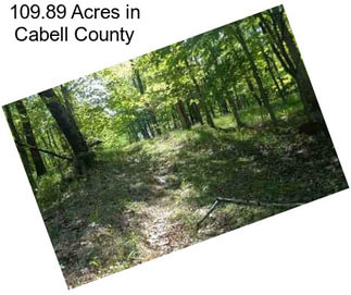 109.89 Acres in Cabell County