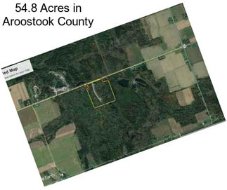 54.8 Acres in Aroostook County