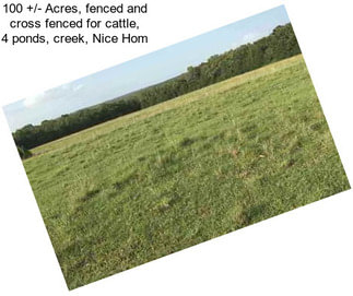 100 +/- Acres, fenced and cross fenced for cattle, 4 ponds, creek, Nice Hom