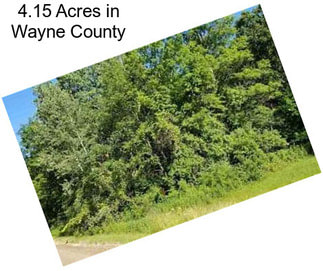 4.15 Acres in Wayne County